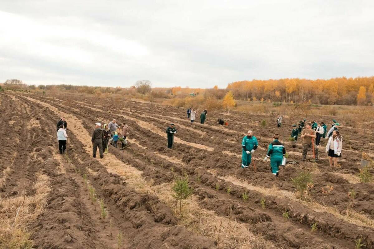 В Арском районе РТ посадят 5 тыс. деревьев для защиты Казанки