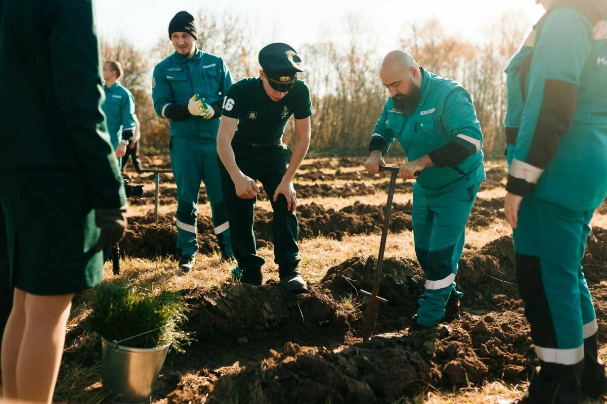 Пять тысяч деревьев укрепят берега Казанки при поддержке «Казаньоргсинтеза»