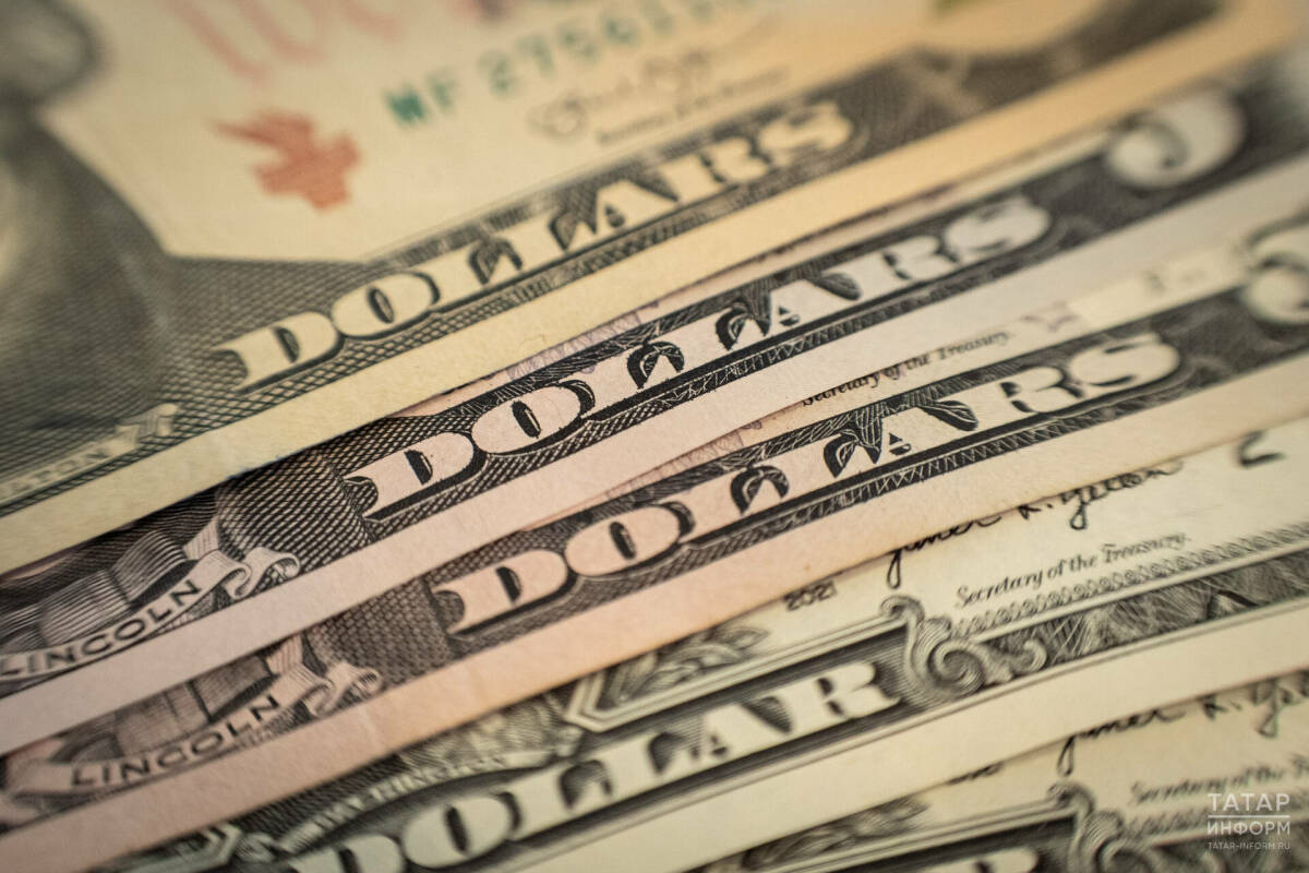 Депутат Госдумы Аксаков предостерег россиян от скупки долларов