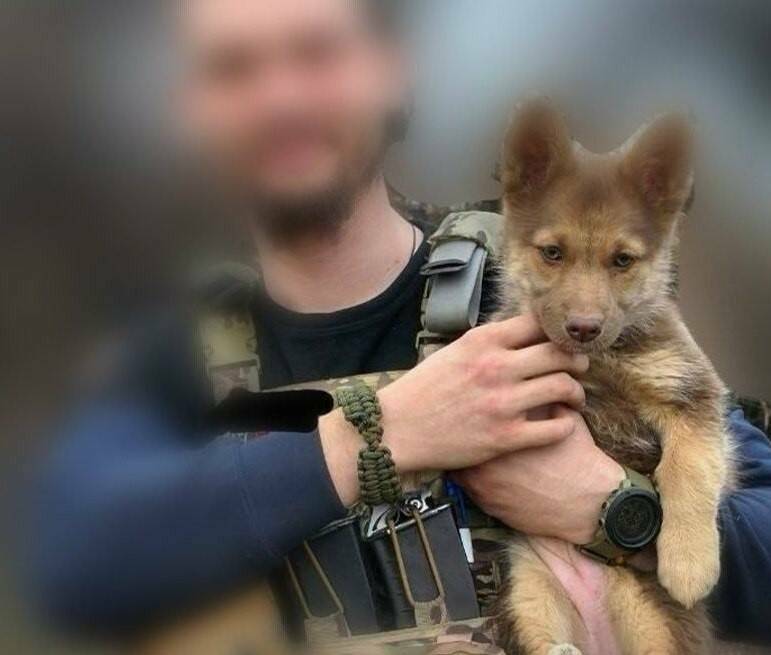 «Первой слышала дрон»: как медбрат из Лениногорска воспитал собаку-напарника на СВО