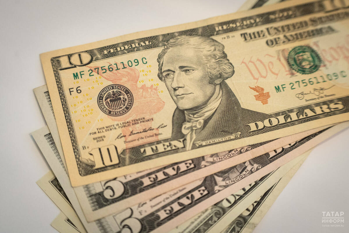 Курс доллара в этом году может подняться до 100 рублей – экономист