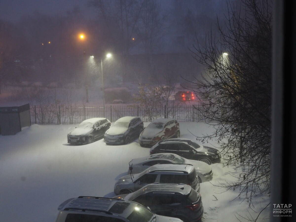 Законопроект о передаче полномочий по парковочным нарушениям поддержали в Татарстане