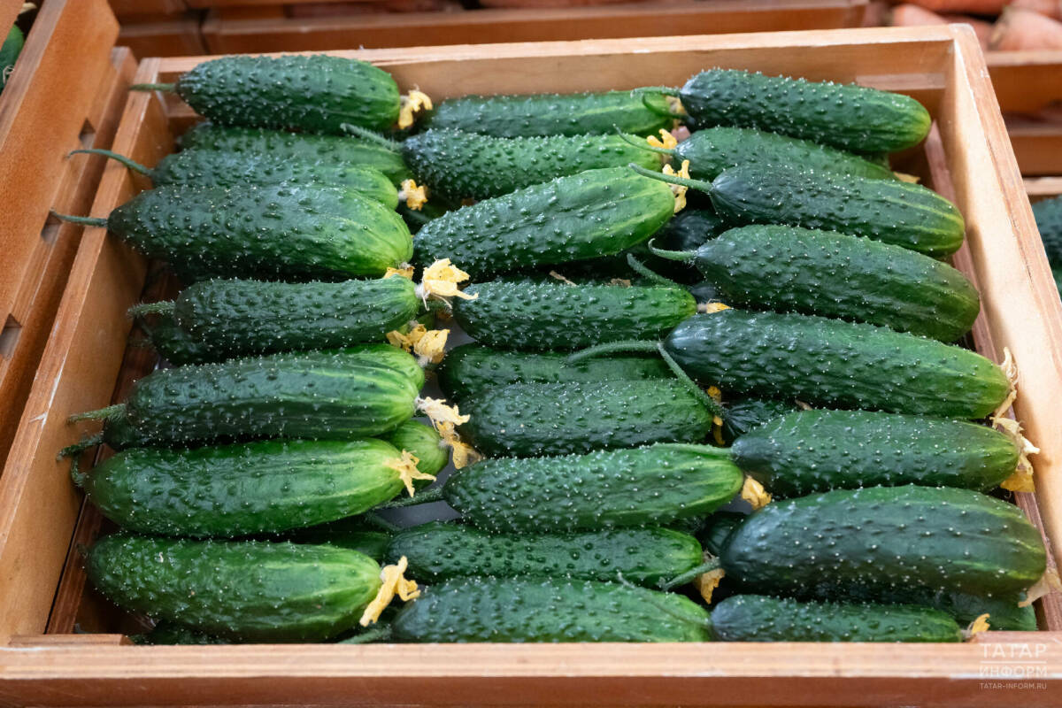 ФАС решила проанализировать цены на огурцы в торговых сетях