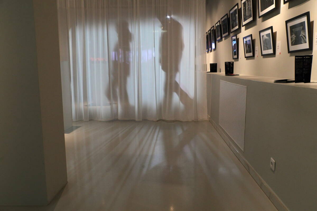 От субкультуры помощи к культуре: Музей ИЗО открыл фотовыставку «Приют человека»