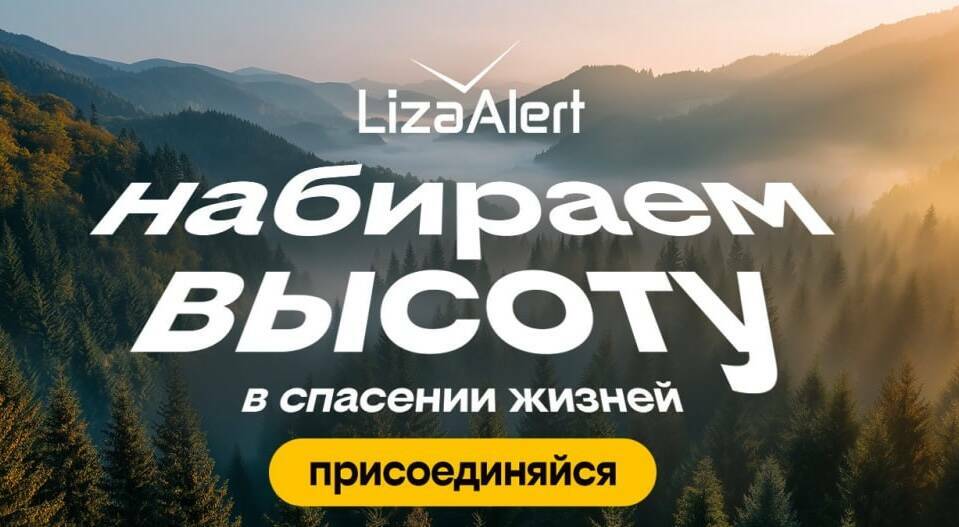 Билайн и «Лента» запустили видеоролик в поддержку «ЛизаАлерт» на экранах в магазинах