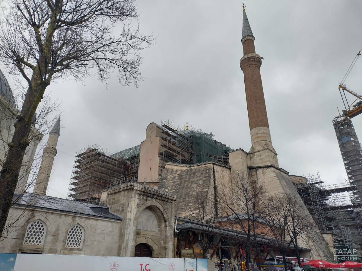 «Лувроценник», повсеместно русская речь и кошачий рай: Стамбул-2026 глазами «первохода»