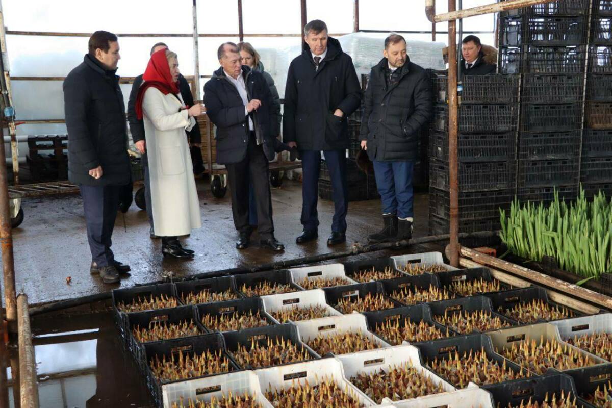 Депутат Топилин посетил Апастовский район и оценил работу местного тепличного хозяйства