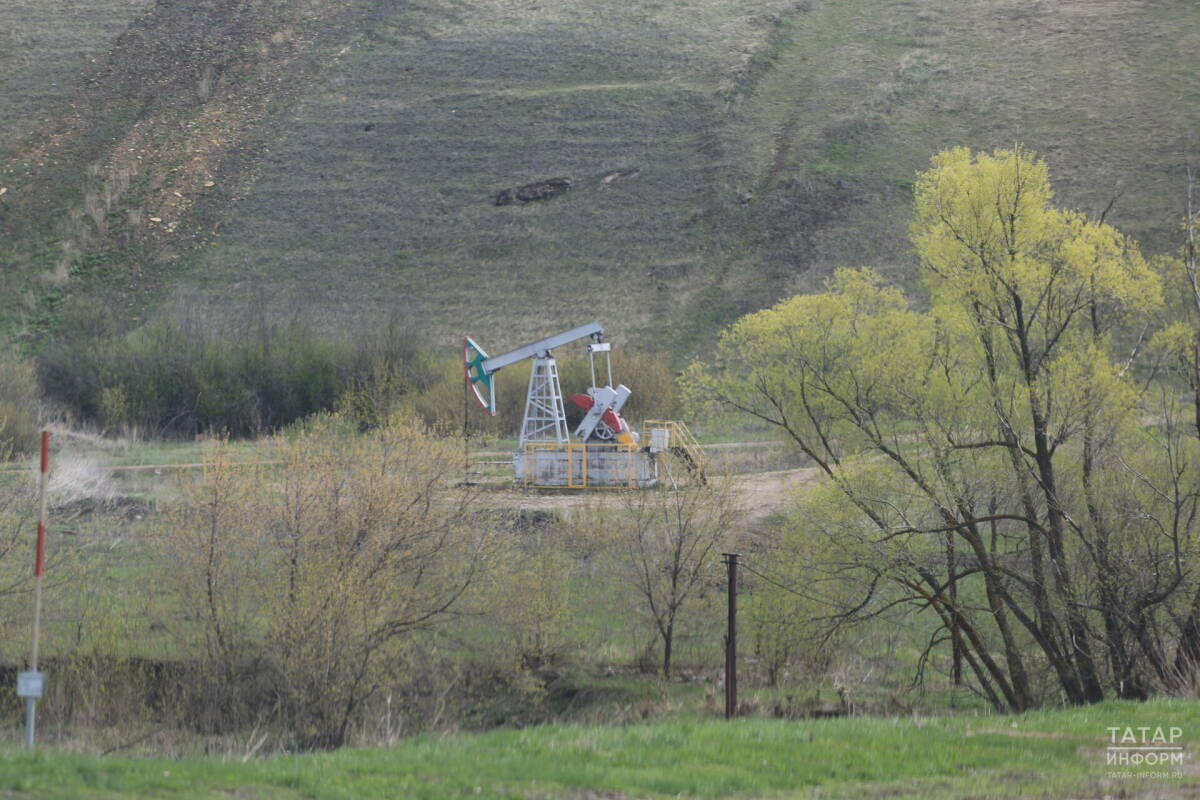 СМИ: Власти РФ намерены продолжать применять индексы Argus при расчете нефтяных налогов