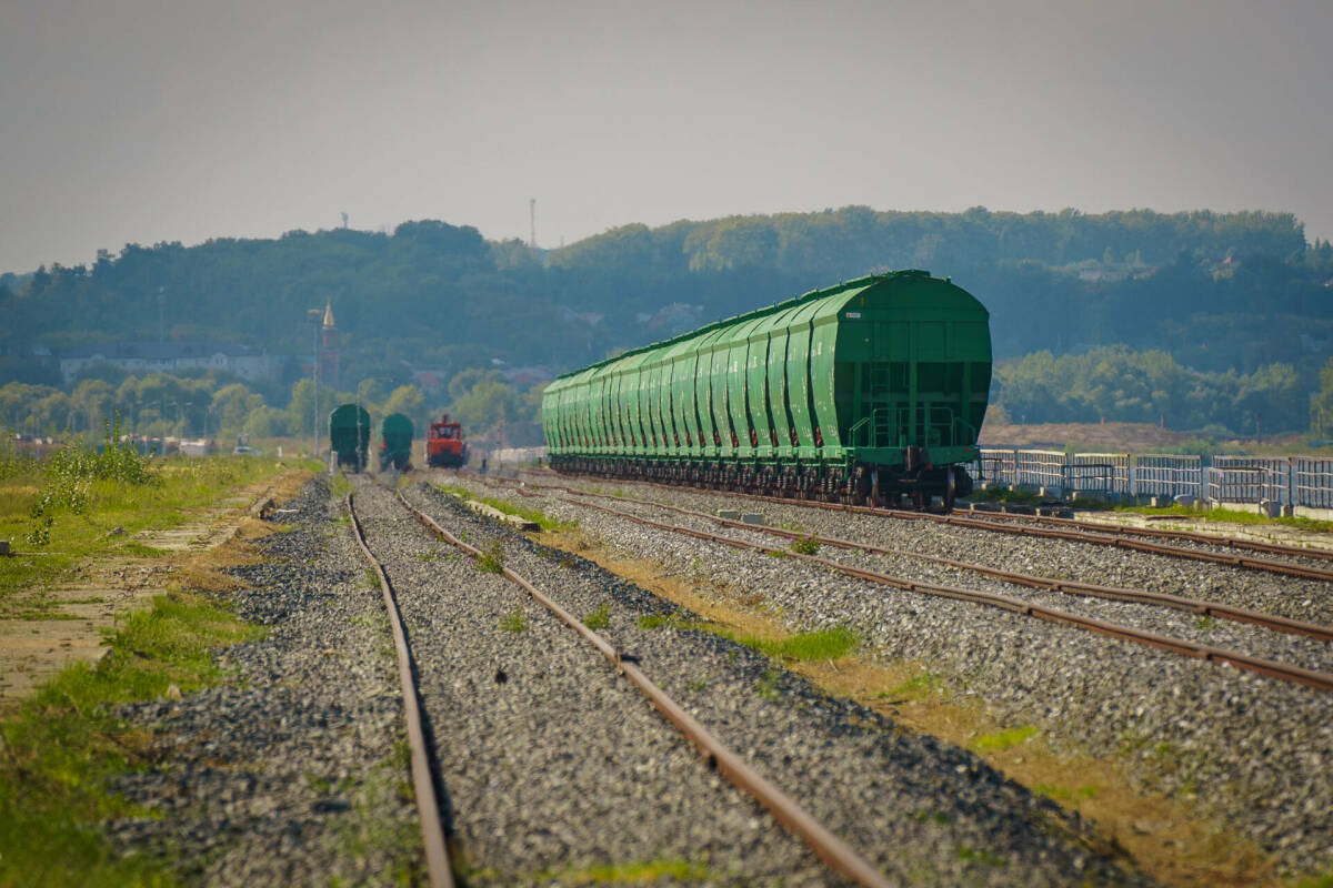 Татарстан за год планирует экспортировать продукцию АПК на 482 млн долларов