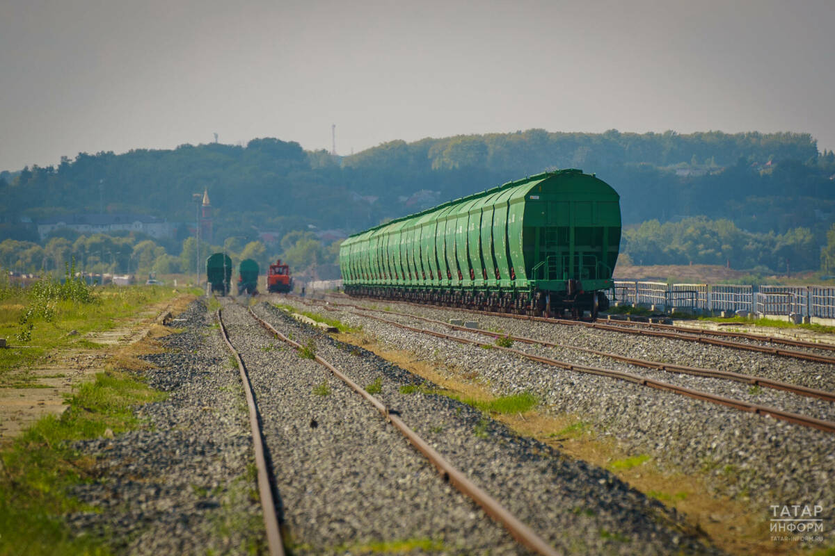 Татарстан за год планирует экспортировать продукцию АПК на 482 млн долларов