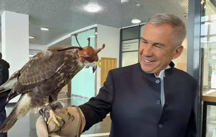 Сокол-охранник и достижения юннатов: что показали Минниханову на выставке в Иннополисе