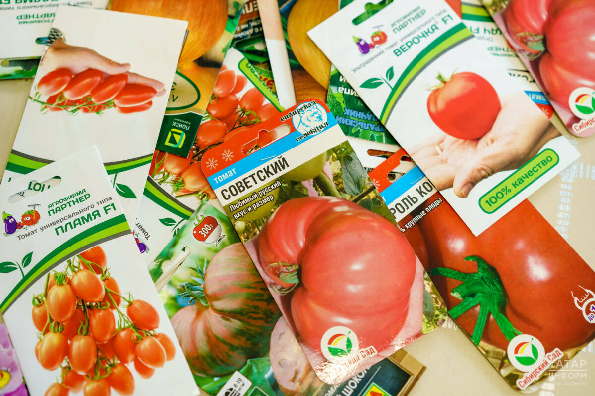 Садовод Лилия Муртазина: «Чтобы помидор не болел, сейте его в землю из-под крапивы»