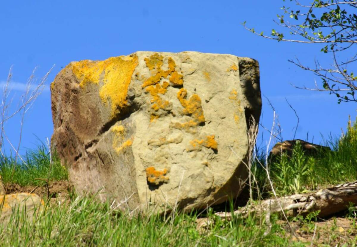 На юго-востоке Татарстана в поисках локальной идентичности вырос интерес к местному уникальному стройматериалу – чупаевскому камню. Из него строили здешние города, пока полностью не была спилена Чупай-гора. Журналист-краевед Анвар Маликов отследил историю камня длиной 270 миллионов лет и выяснил, что у него общего с пирамидой Хеопса.