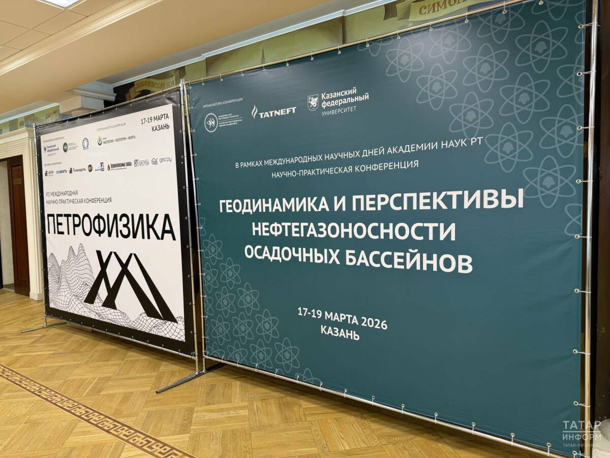 Ученые пытаются переосмыслить углеводороды на конференции в Академии наук РТ