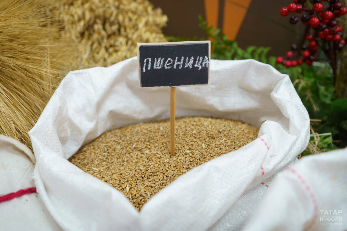 Географию поставок АПК Татарстана планируют расширить за счёт стран Северной Африки и ЮВА