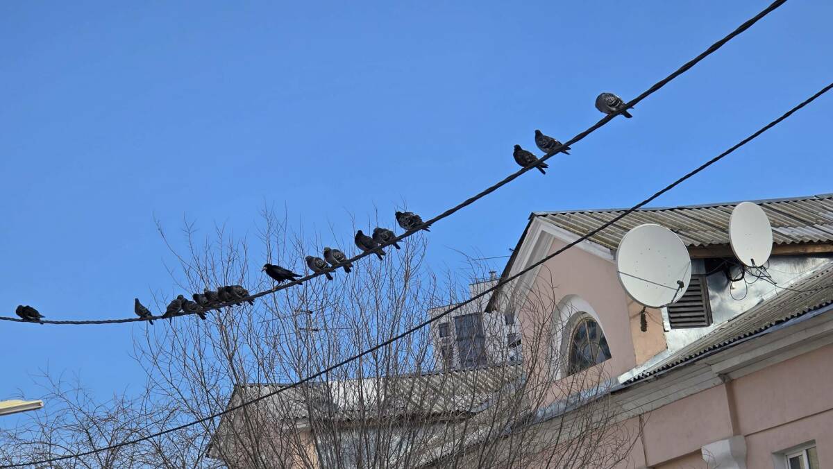К концу недели в Татарстане потеплеет до +13 градусов,  перепады температур уменьшатся