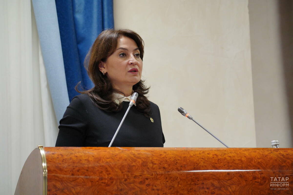 Фазлеева: Партнёрство власти и НКО – ключевой фактор развития соцсферы Татарстана