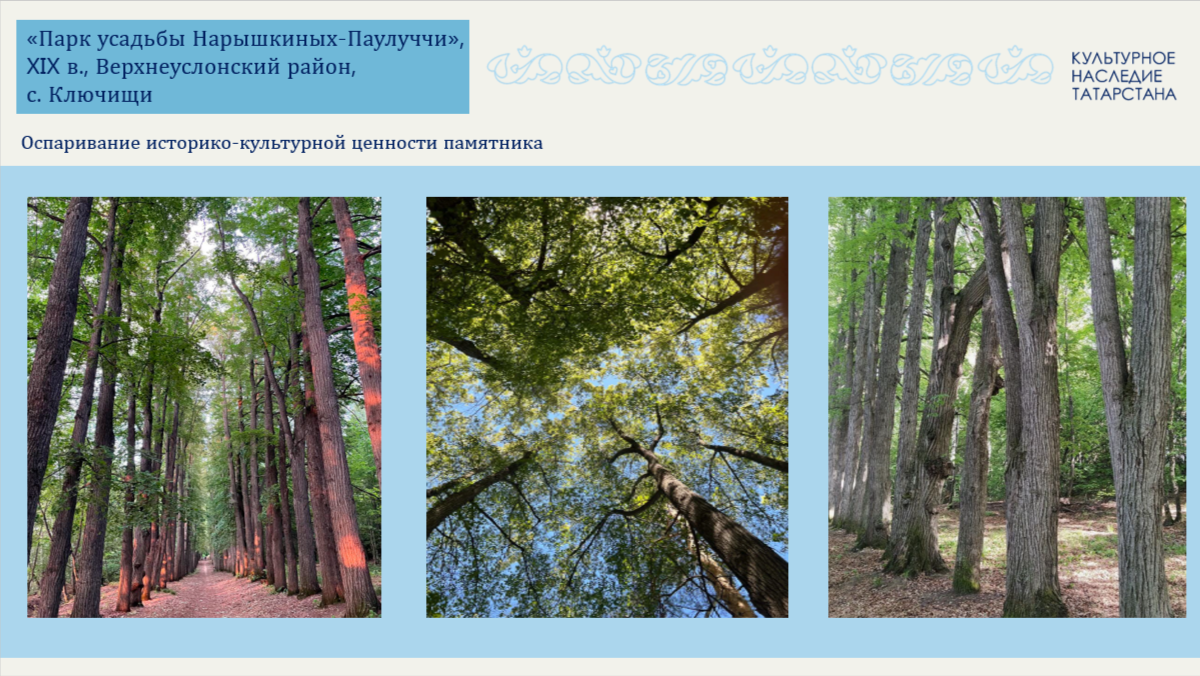 Судебный эксперт оценит статус парка усадьбы Нарышкиных-Паулуччи в Ключищах