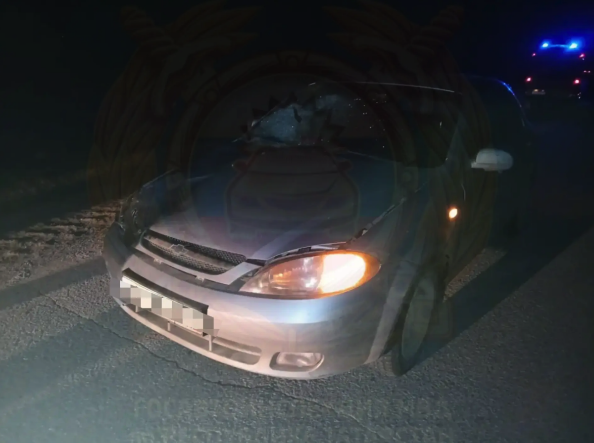 В Заинском районе РТ пожилой водитель насмерть сбил женщину на дороге