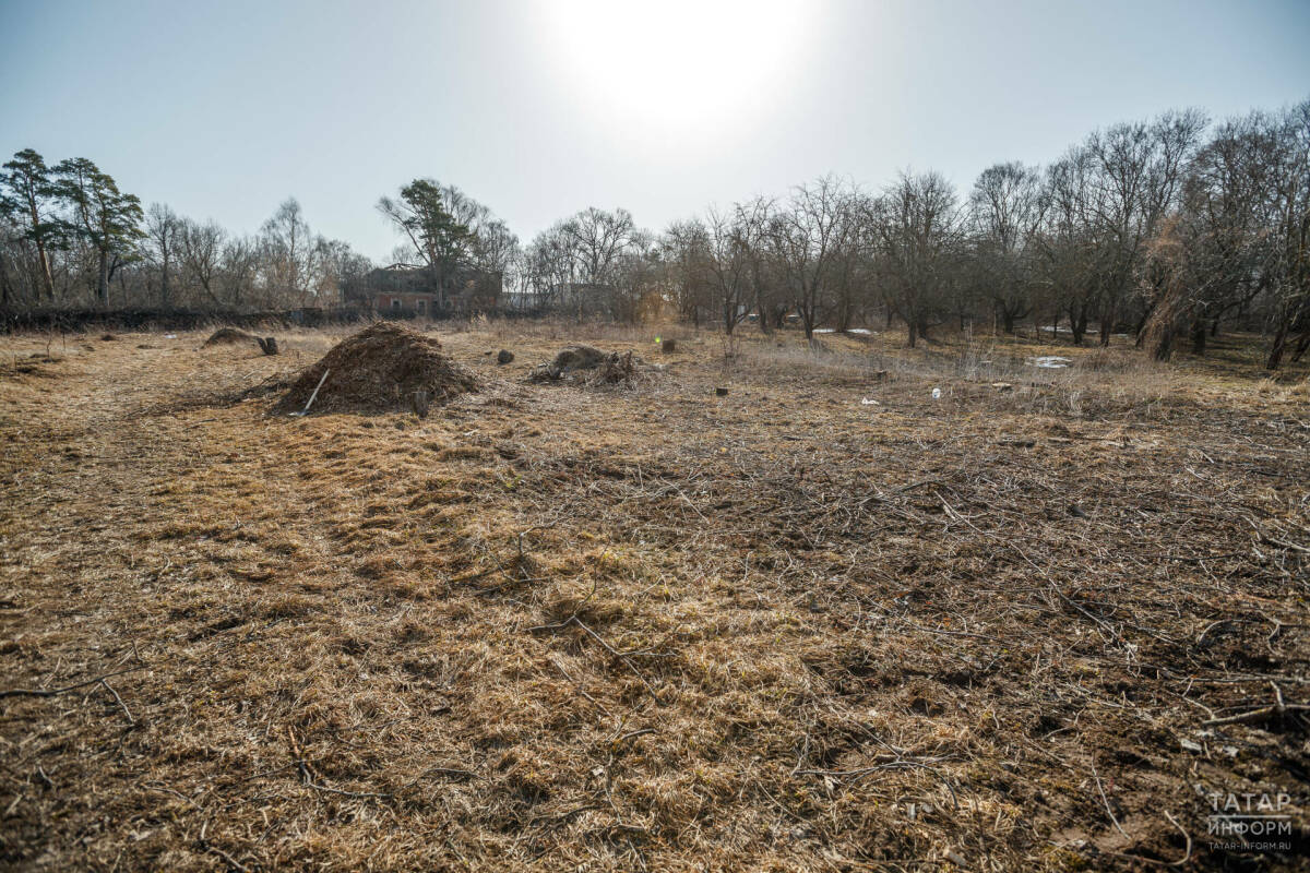 В Татарстане потеплеет до +15 градусов, прекратятся осадки и развеется туман