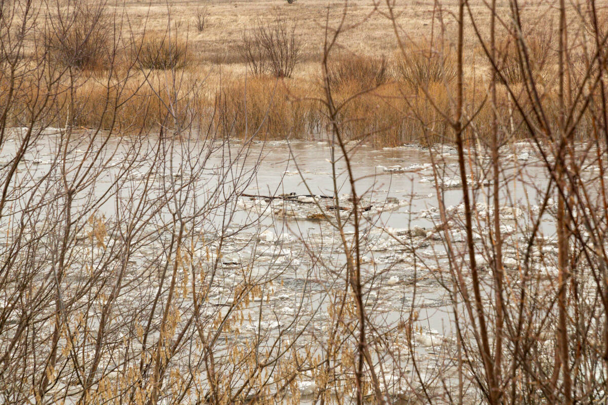 Синоптик Шувалов: При ранней и бурной весне паводок будет близок к экстремальному