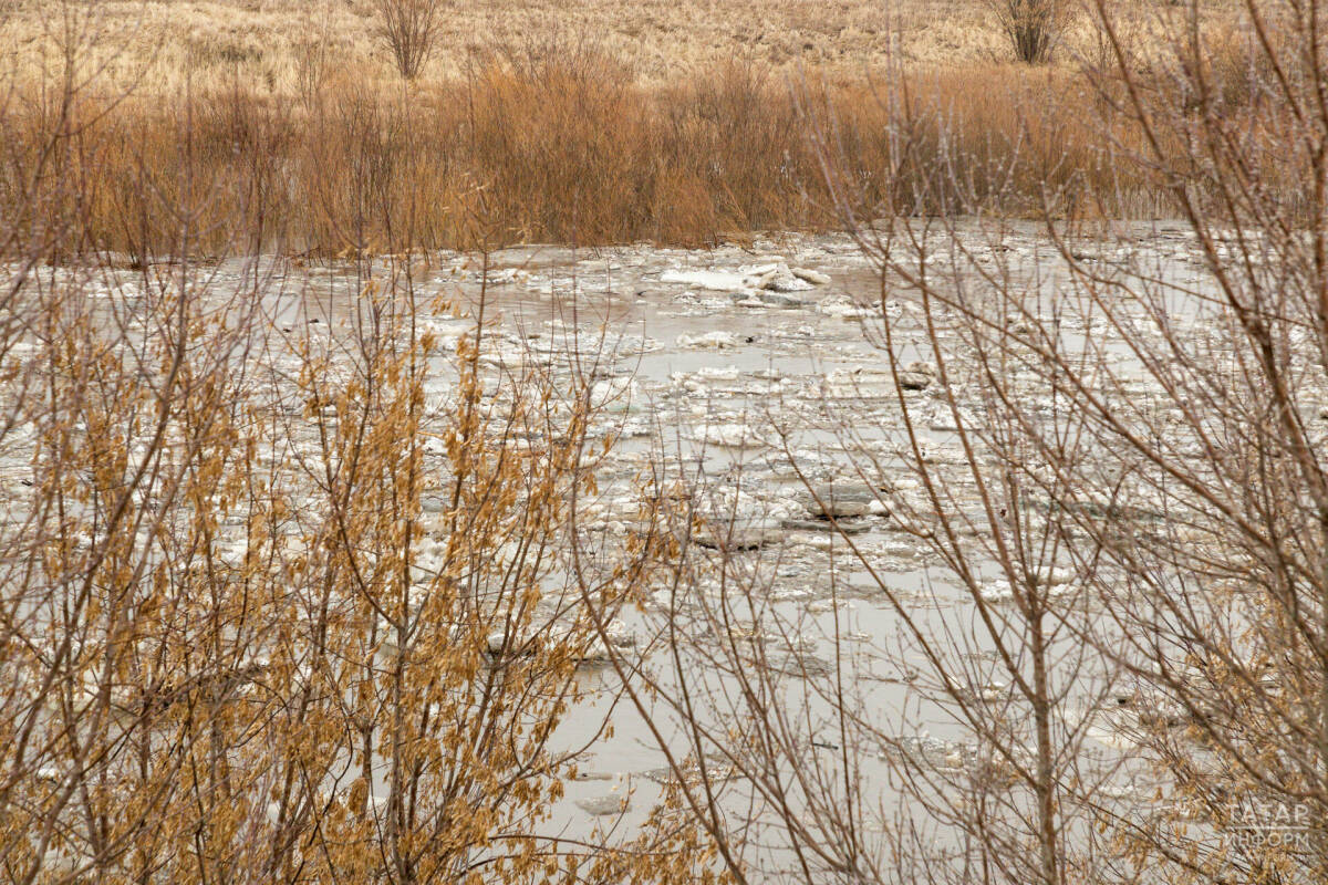 Синоптик Шувалов: При ранней и бурной весне паводок будет близок к экстремальному