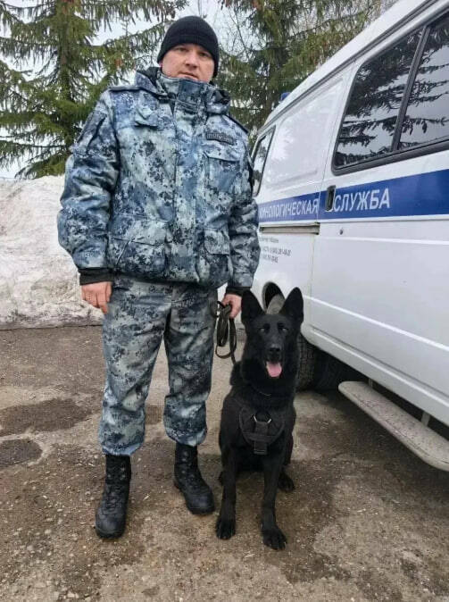 В Казани служебная собака помогла задержать ограбившего магазин техники