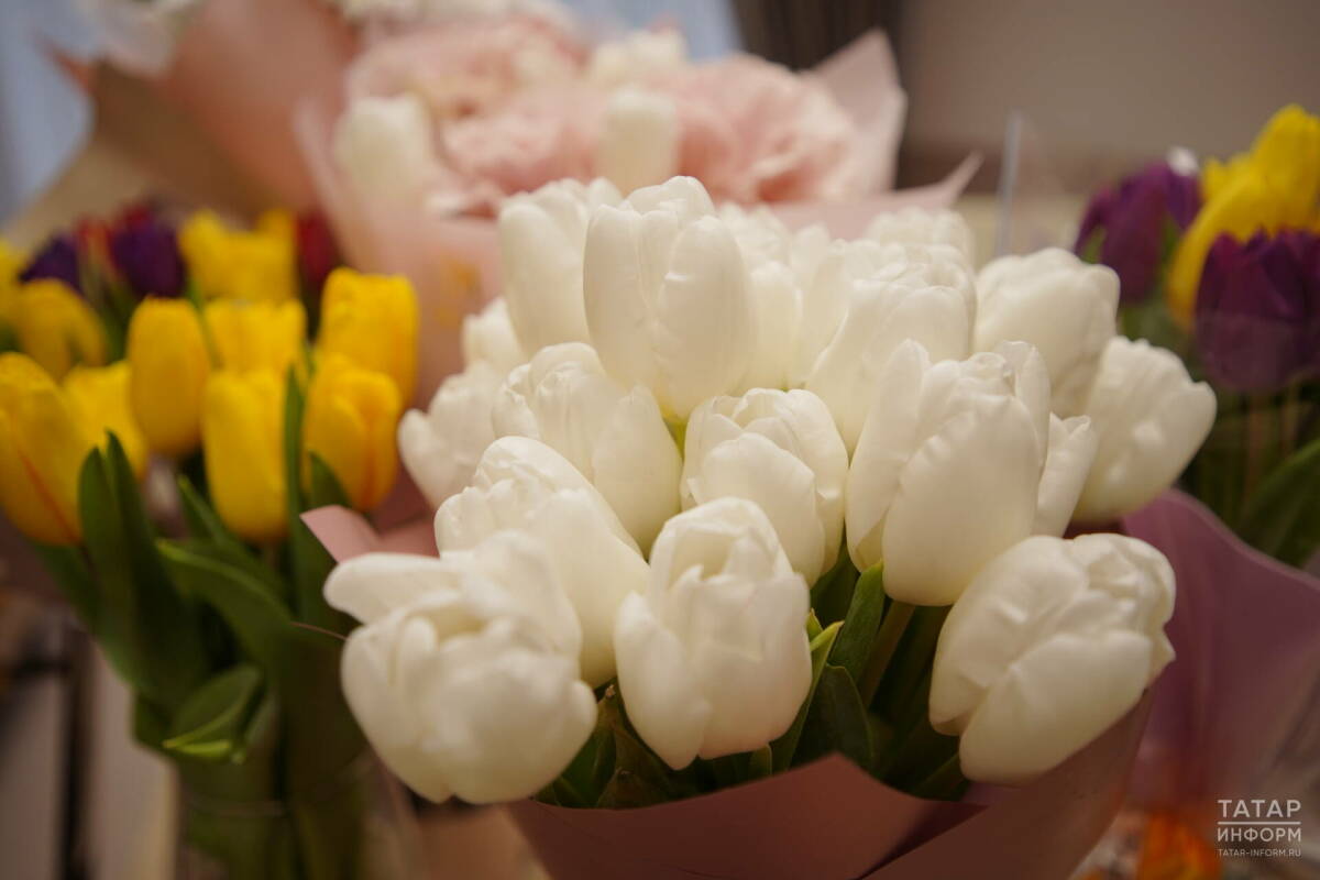 Экономист посоветовал, как избежать переплаты при покупке цветов к 8 Марта