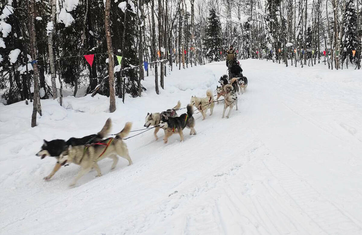 Перелет из Казани в Мурманск – самую близкую для Татарстана Арктику – занимает около двух с половиной часов. Как найти Аврору и где можно покататься на собачьих упряжках, искупаться в Баренцевом море и посмотреть на пальму в тундре – в репортаже «Татар-информа».
