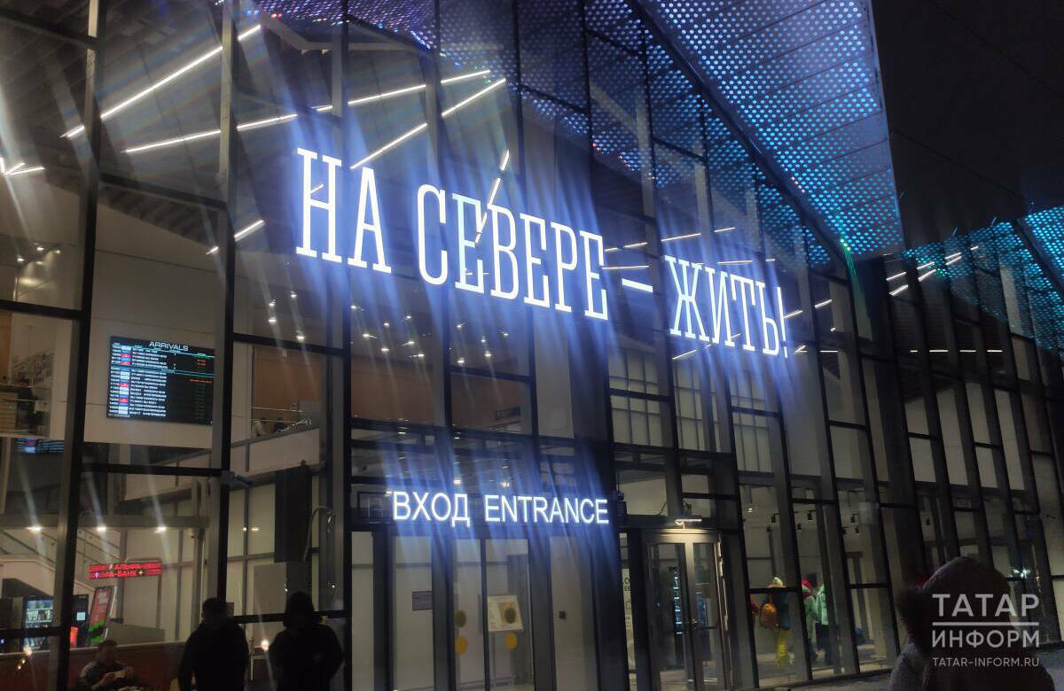 Северное сияние, гонки на хаски, пальмы в тундре: репортаж с края света