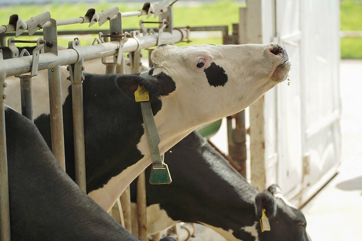 Будущее биотехнологий обсудили на сессии Российского венчурного форума, который сегодня проходит в МВЦ «Казань Экспо». Участниками стали представители «ГенБиоТеха» – компании, которая возводит в Казани агробиотехнопарк федерального уровня. Как продвигается проект, узнал корреспондент «Татар-информа».