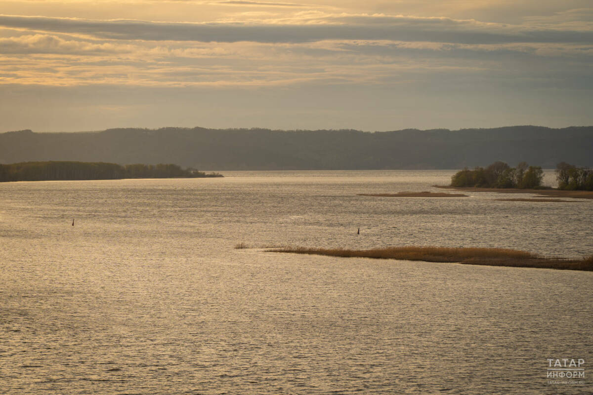 Ученый АН РТ: Прохождение нереста на Волге зависит от баланса интересов регионов
