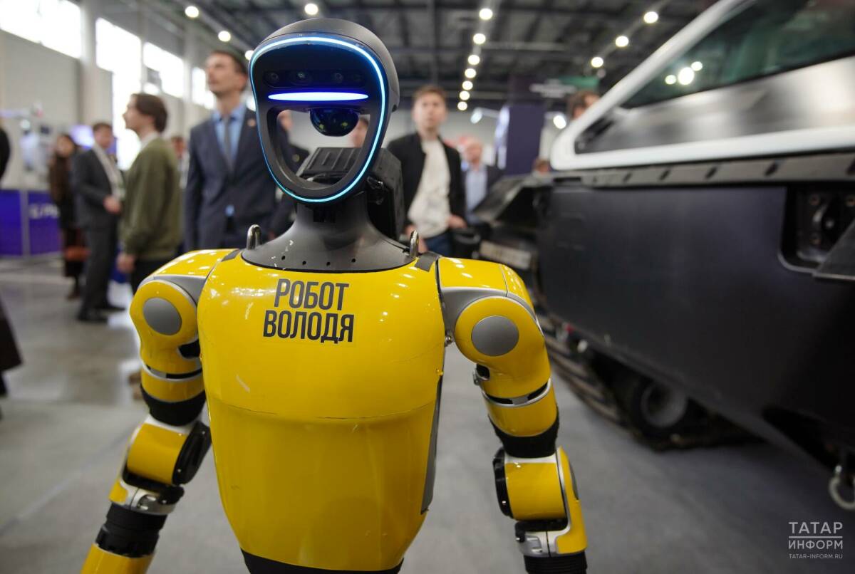 Цветы на вечной мерзлоте: вопреки всему венчурные инвестиции в России живы