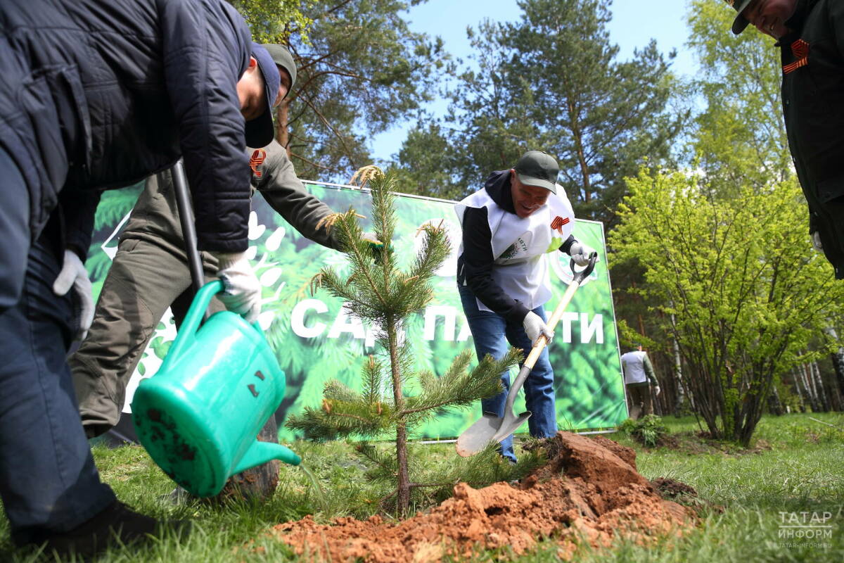В Татарстане 25 апреля стартует акция «Сад памяти»
