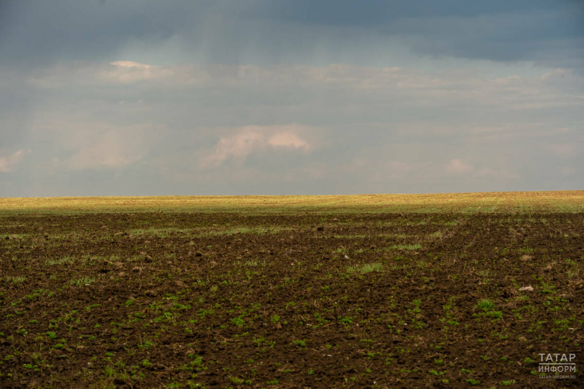Аграрии Татарстана выполнили 40% плана по подкормке озимых культур