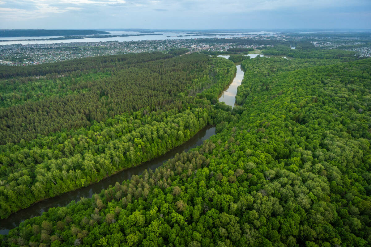 В Татарстане стартует весенний этап акции «Чистые леса Татарстана»