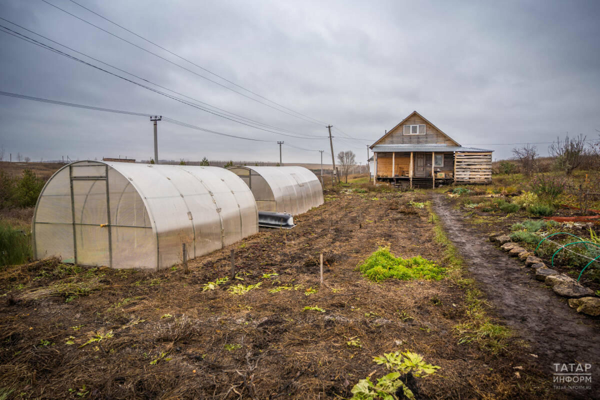 Юрист объяснил, нужно ли согласовывать с соседями по даче ремонт на своём участке