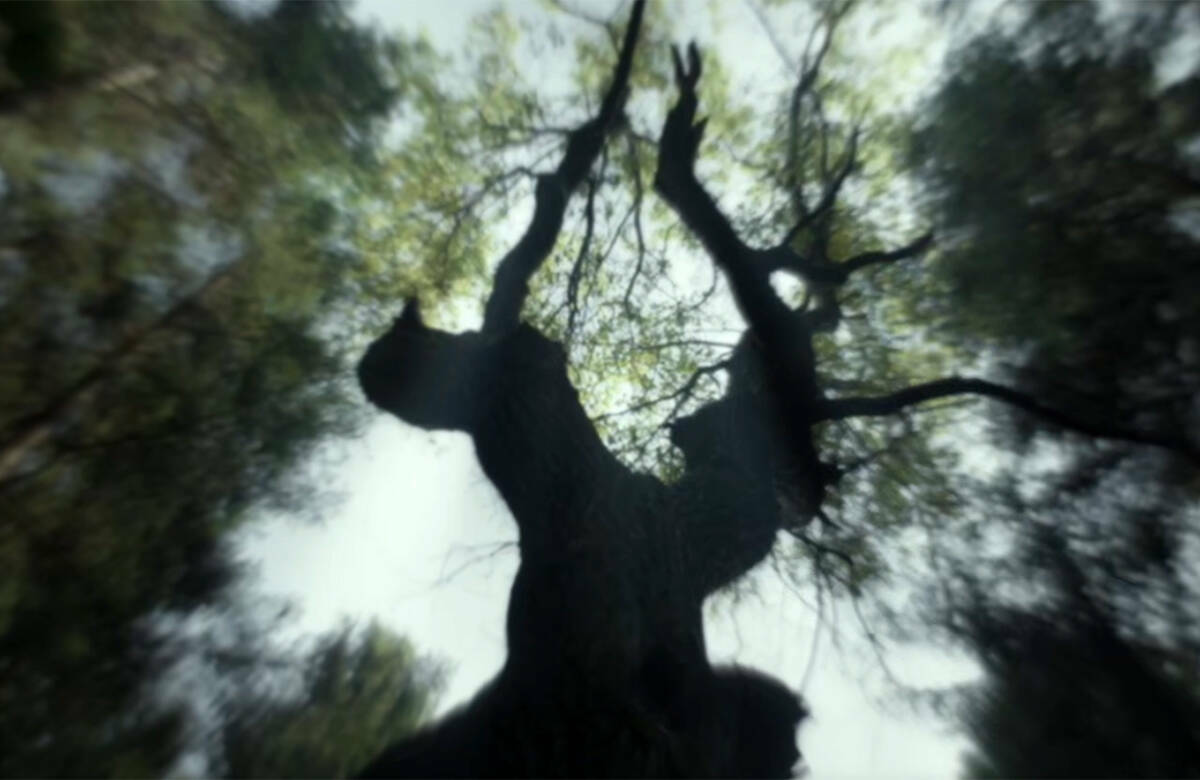 Дни национального кино пройдут в Татарстане к 140-летию Габдуллы Тукая