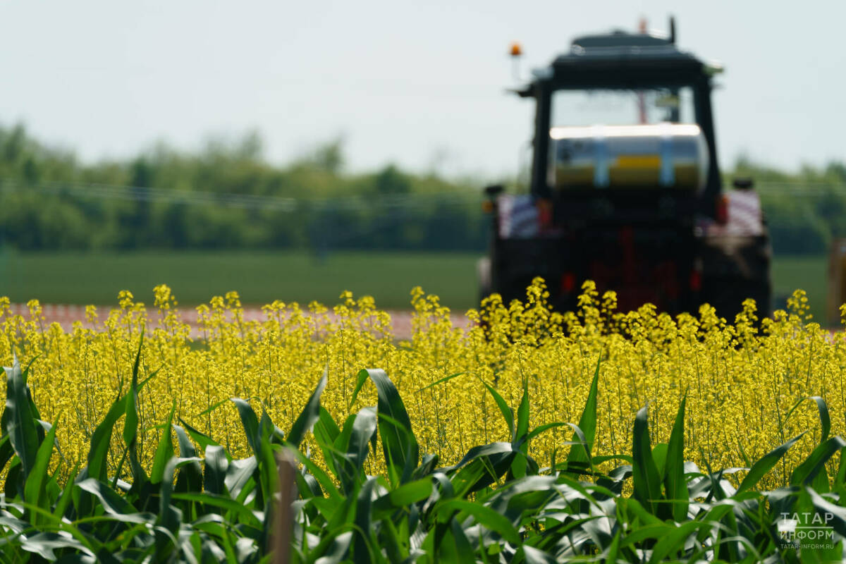 Мелиораторы из Татарстана предложили меры поддержки плодородия сельхозземель