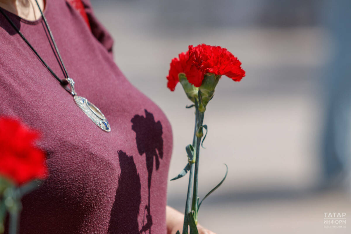 Сбор средств на помощь ветеранам в рамках акции «Красная гвоздика» проходит в Татарстане