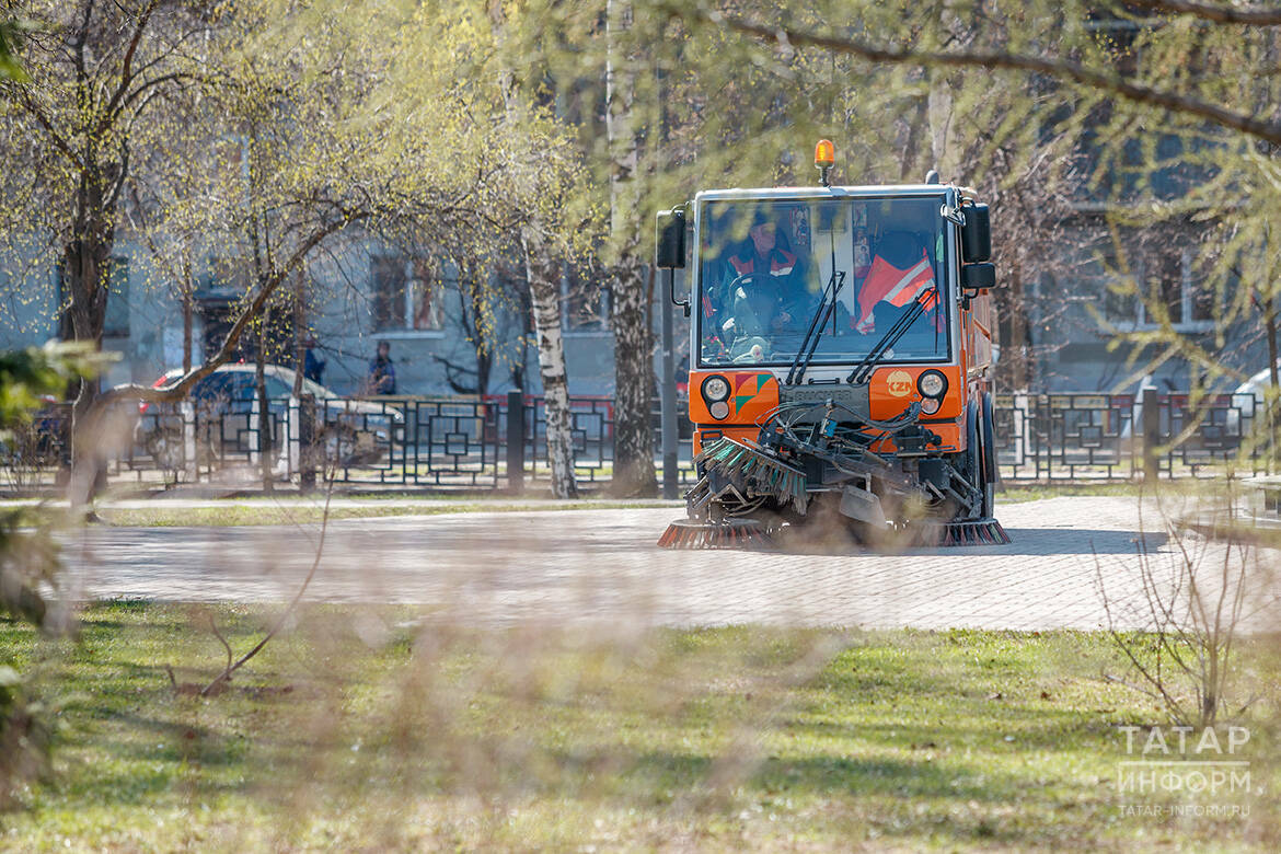 «У аллергика каждый день – самый тяжелый»: врачи предупредили, что береза зацветет раньше