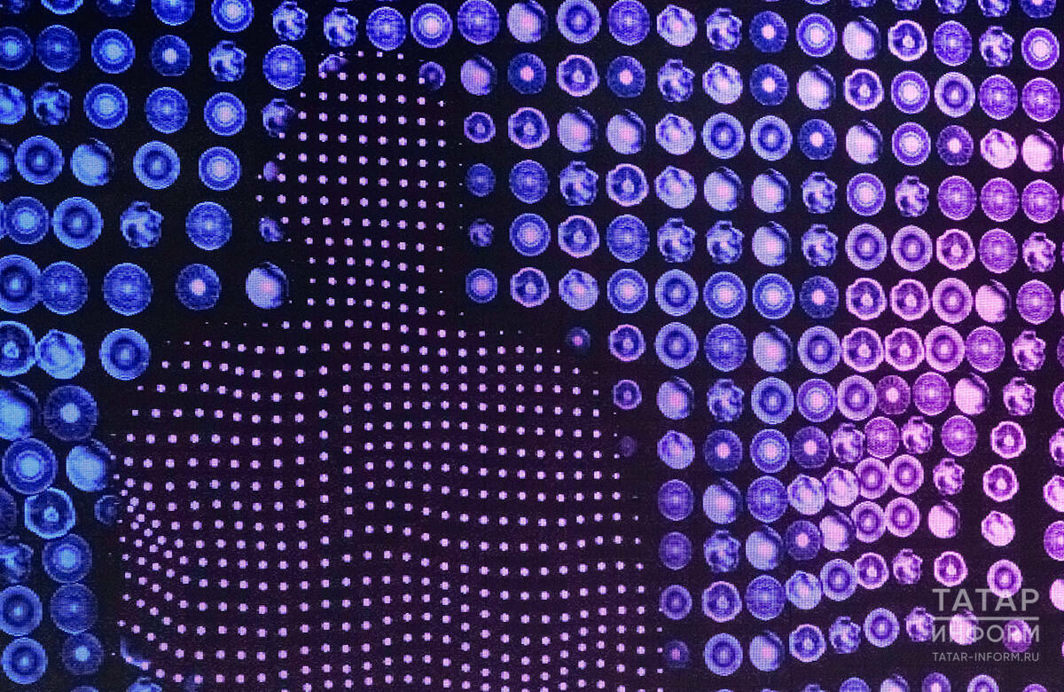 Казань вошла в топ-3 городов по числу пользователей нейросетей