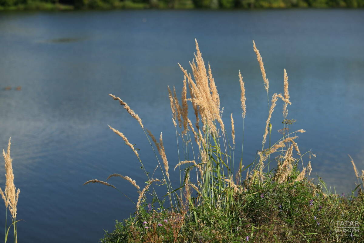 Минэкологии РТ назвало причины исчезновения трёх тысяч озер с карты Татарстана