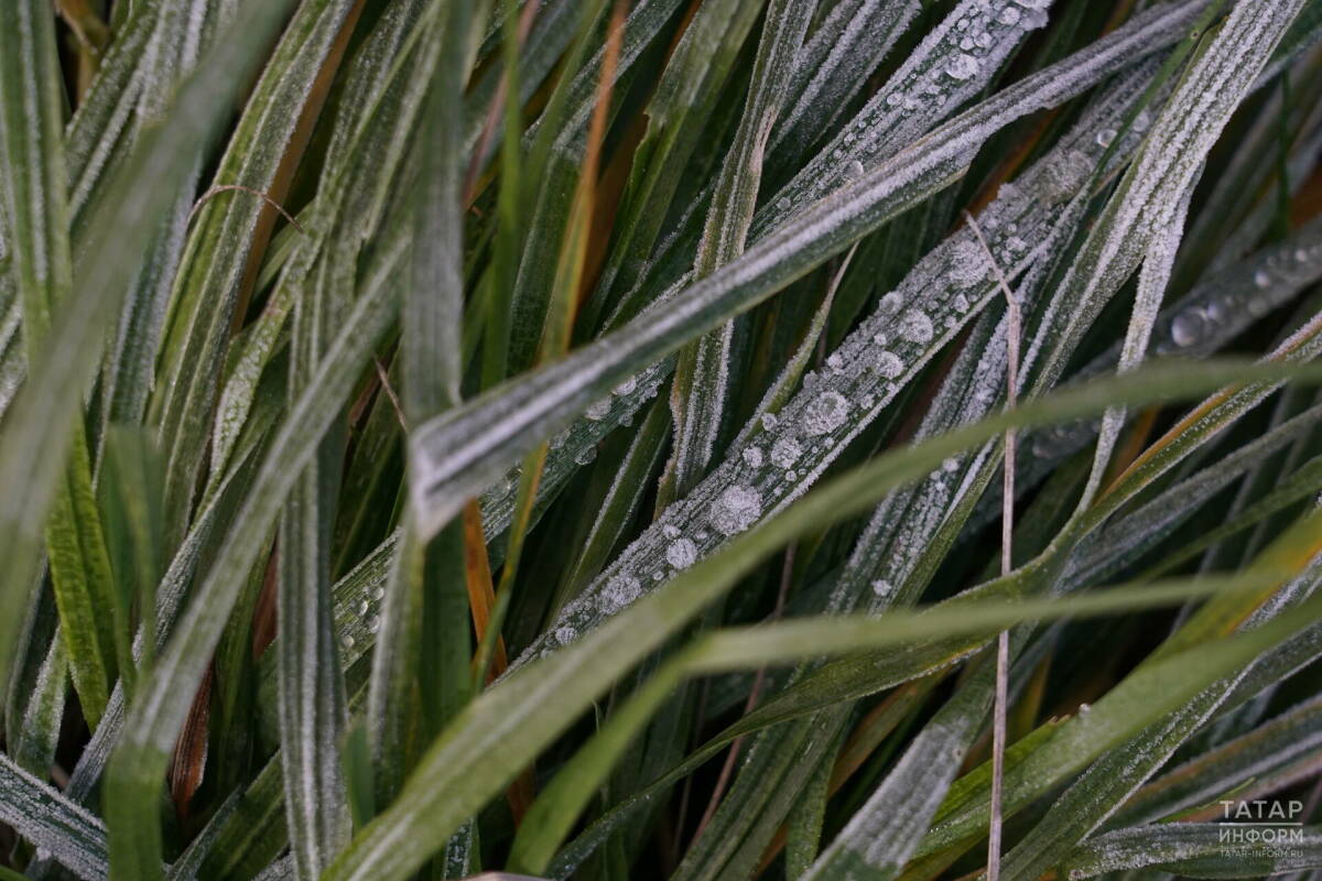 До конца недели неустойчивая погода с дождями и заморозками не покинет Татарстан