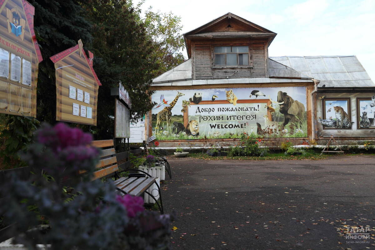 «Раскрыть уникальный потенциал места»: в Казани начали работу над концепцией зооботсада