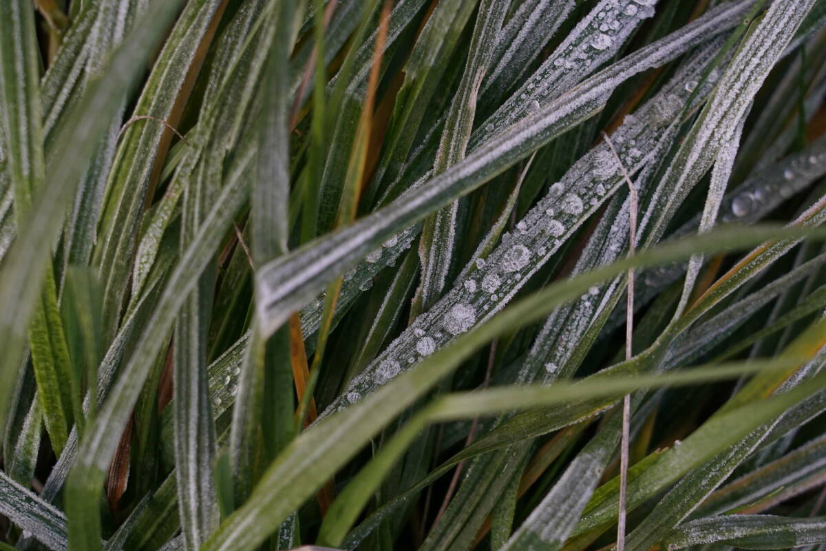 До конца недели неустойчивая погода с дождями и заморозками не покинет Татарстан
