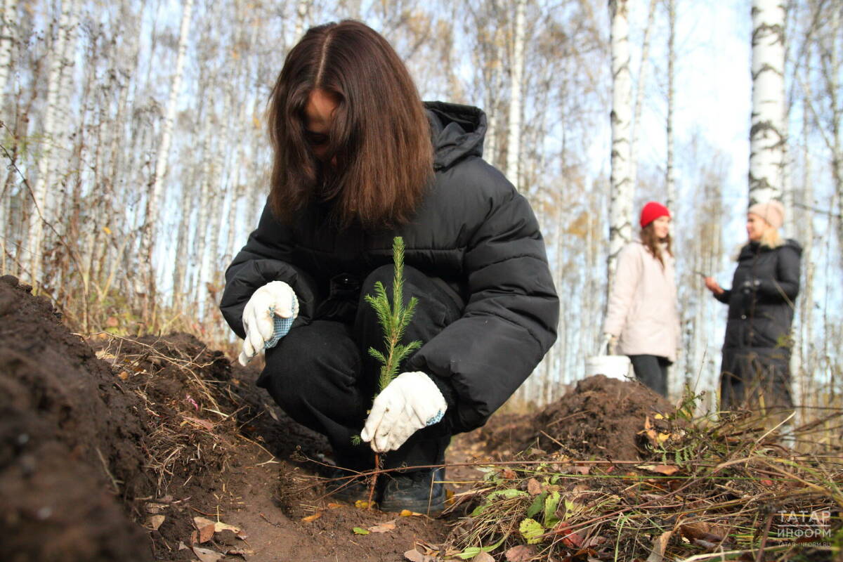 В Татарстане с начала экологического двухмесячника высадили почти 20 тыс. деревьев
