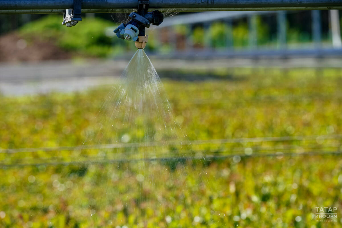 Ахметшин: Каждый год площадь орошаемых земель в РТ увеличивается на 1,5–3 тыс. гектаров