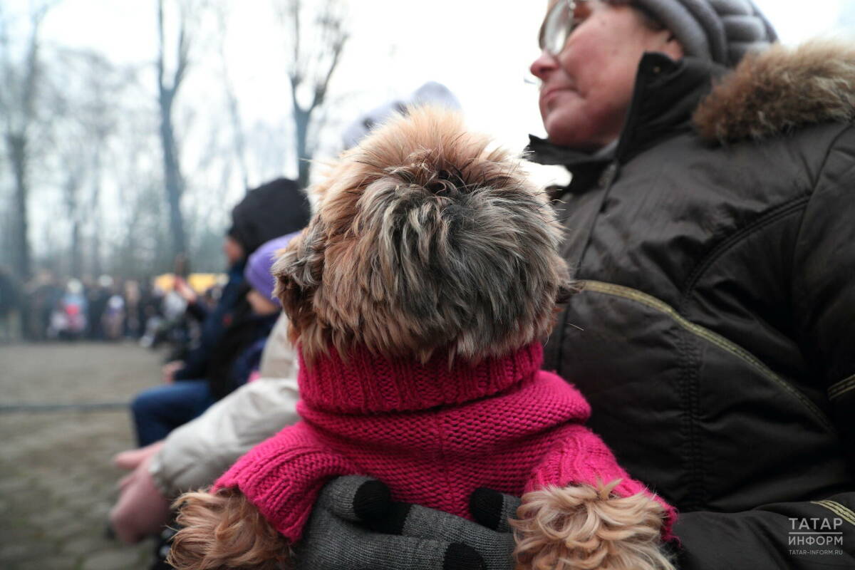 В Госдуму внесли законопроект о создании единого реестра домашних животных