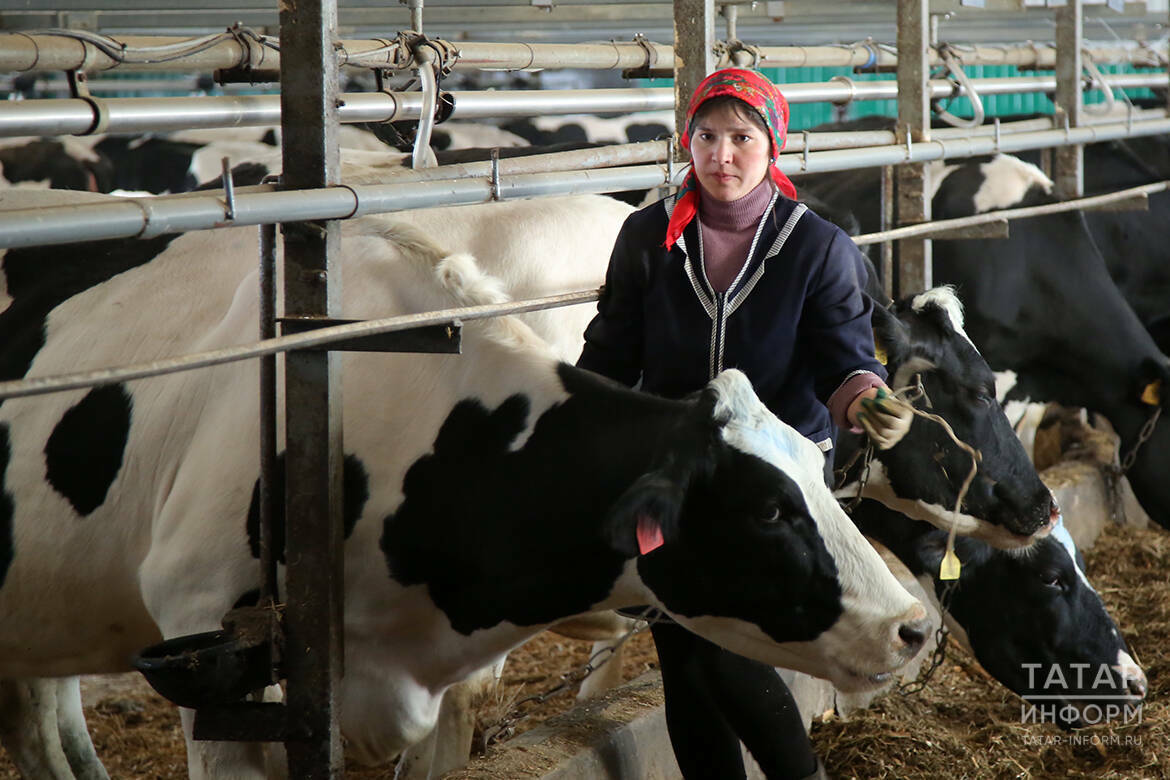 Зарплаты в селах Татарстана выросли на 20% за год – сильнее, чем в других регионах РФ